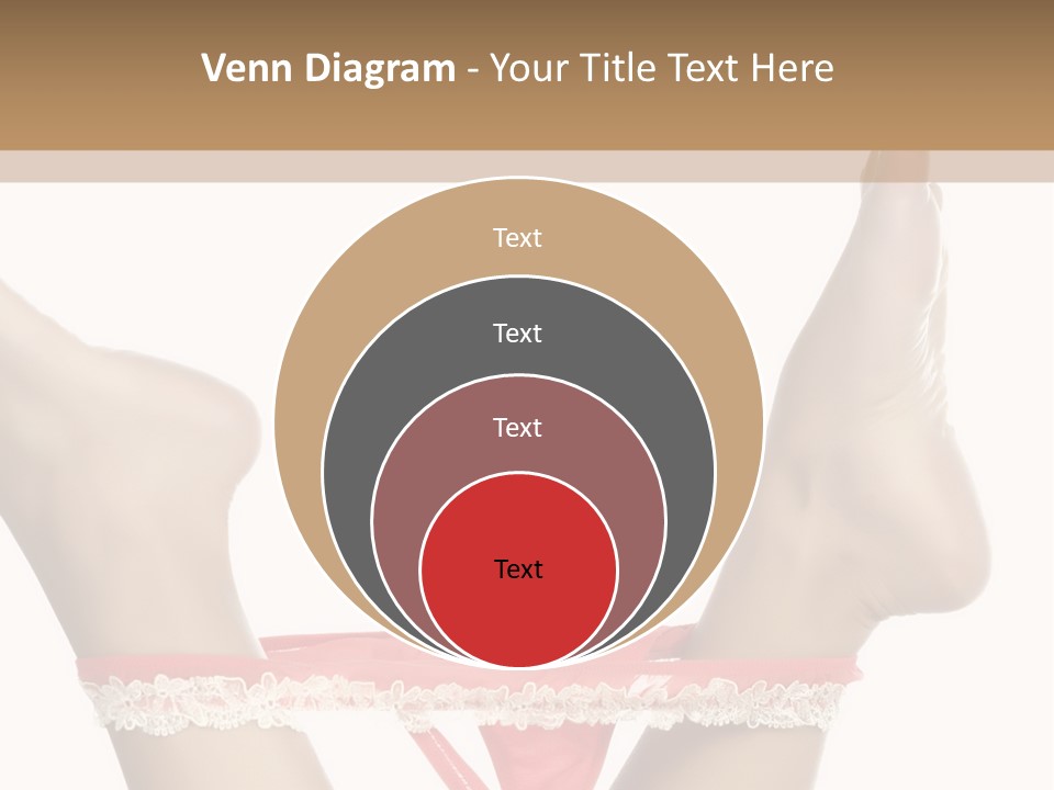 Feathers Velvet Century PowerPoint Template