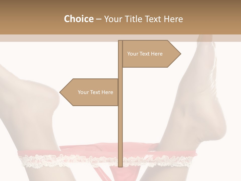 Feathers Velvet Century PowerPoint Template