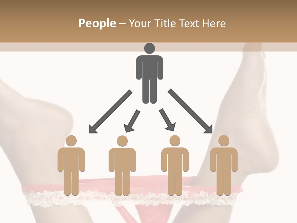 Feathers Velvet Century PowerPoint Template