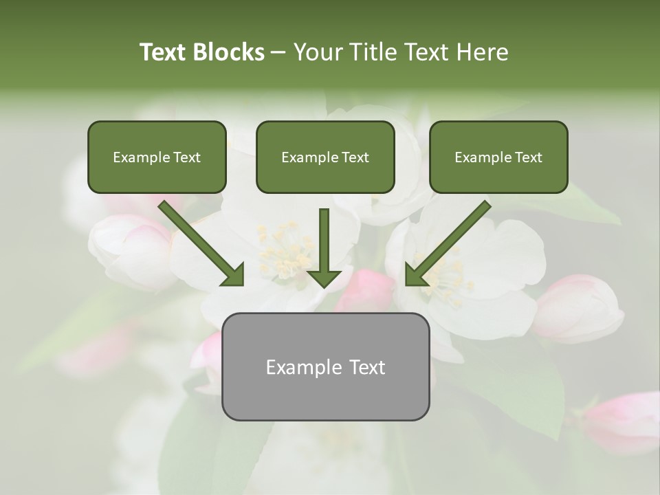 Brunette Multiethnic Culture PowerPoint Template
