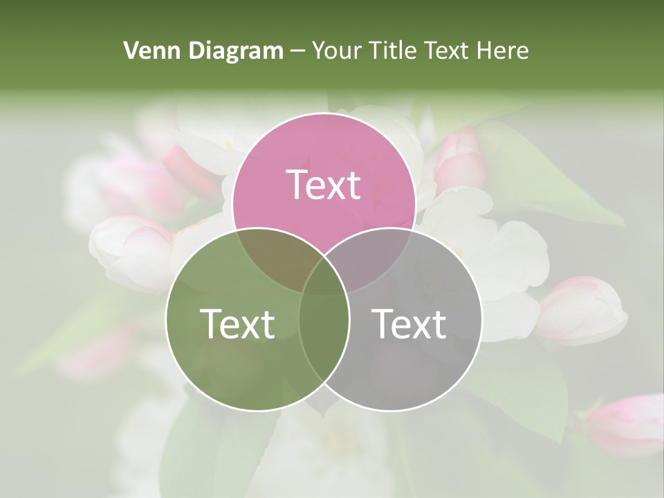 Brunette Multiethnic Culture PowerPoint Template