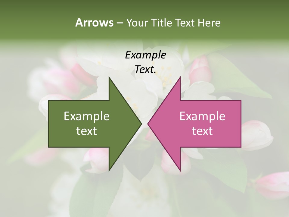 Brunette Multiethnic Culture PowerPoint Template