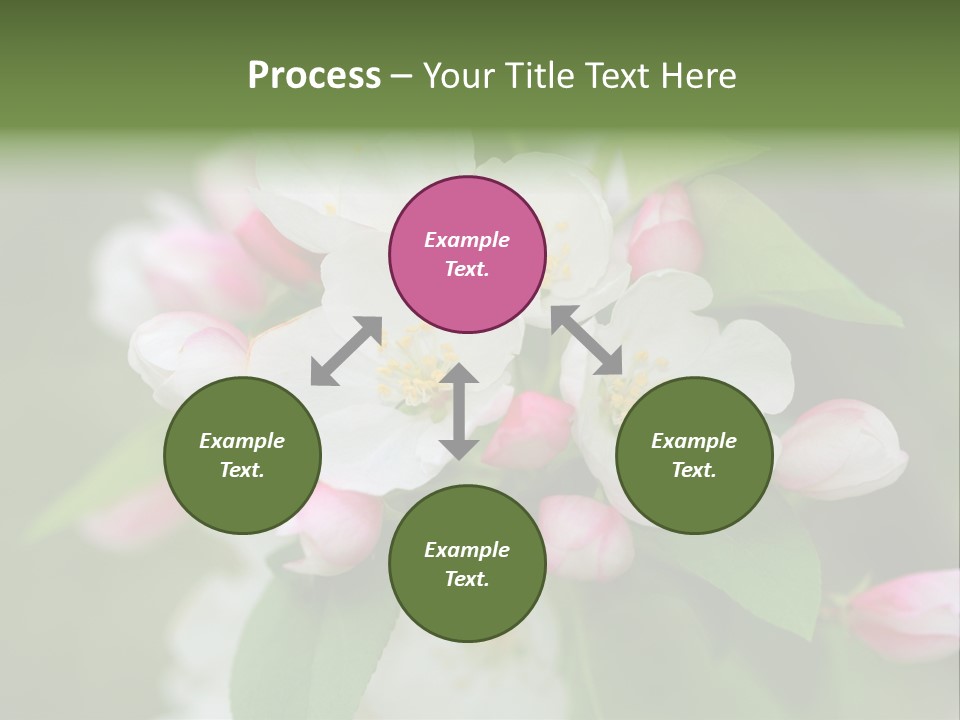 Brunette Multiethnic Culture PowerPoint Template