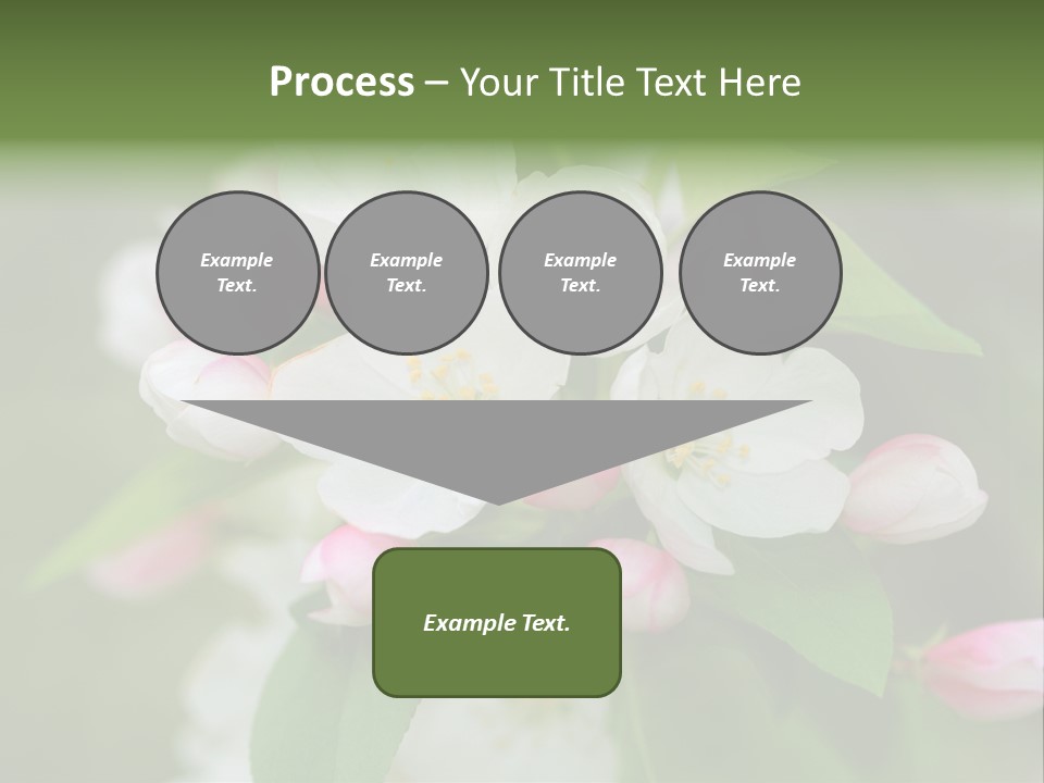 Brunette Multiethnic Culture PowerPoint Template