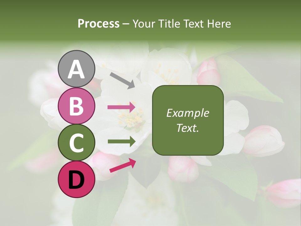 Brunette Multiethnic Culture PowerPoint Template