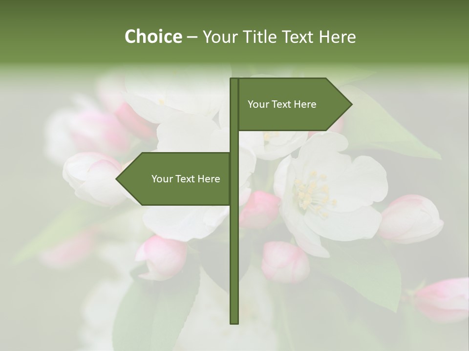 Brunette Multiethnic Culture PowerPoint Template