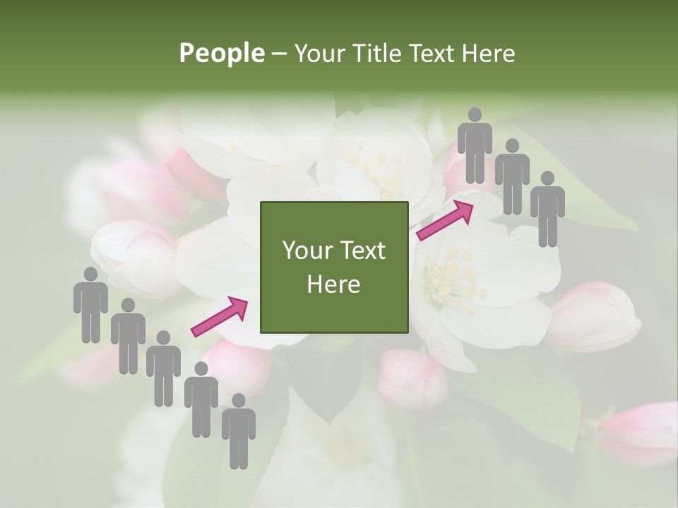 Brunette Multiethnic Culture PowerPoint Template