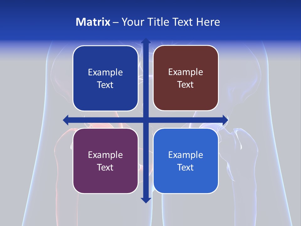 Fedora Louisiana Hurricane PowerPoint Template