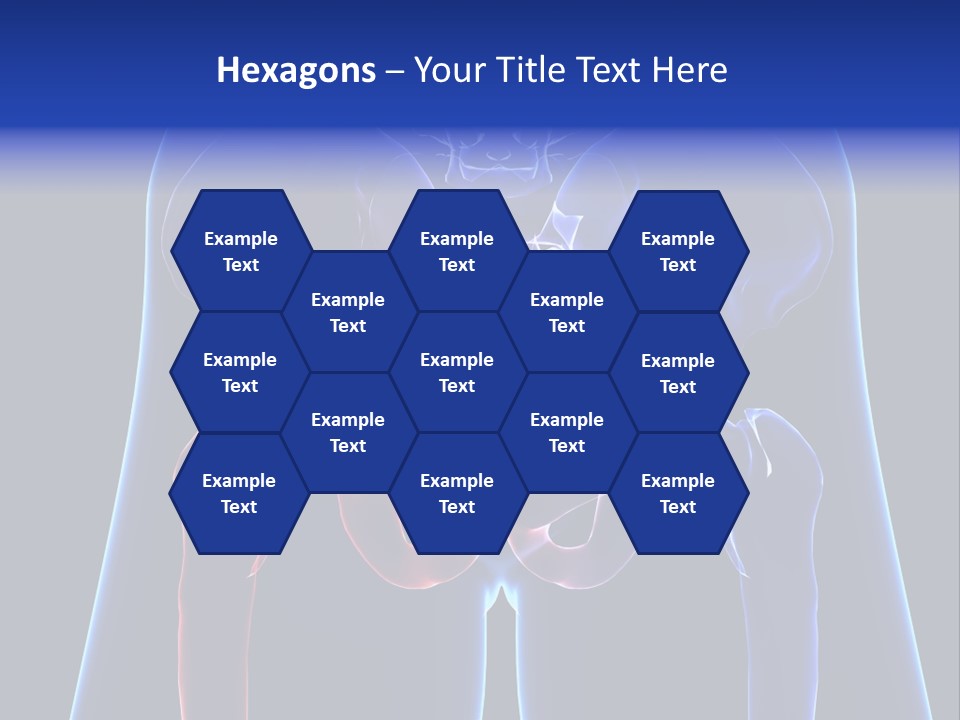 Fedora Louisiana Hurricane PowerPoint Template