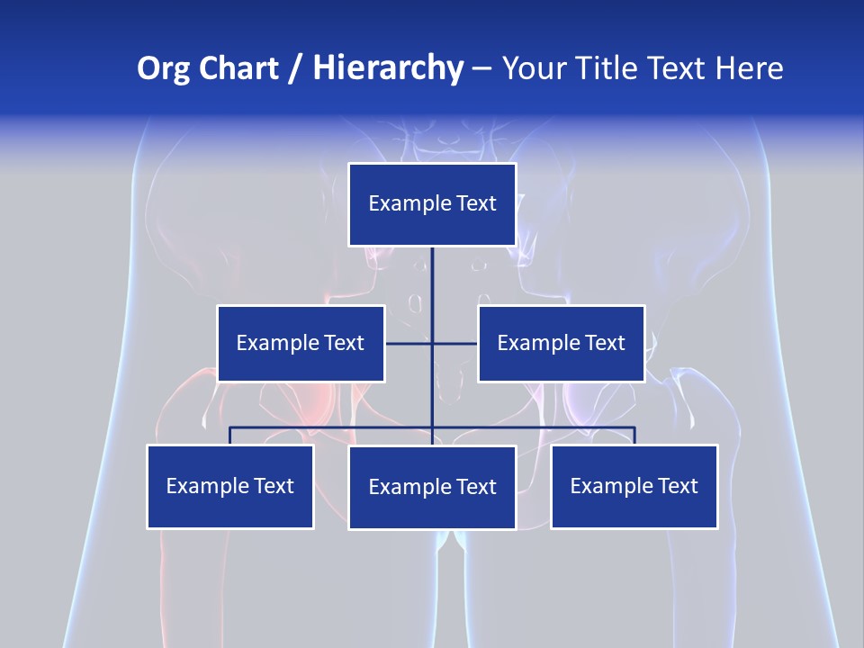 Fedora Louisiana Hurricane PowerPoint Template