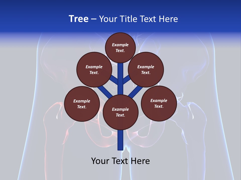 Fedora Louisiana Hurricane PowerPoint Template