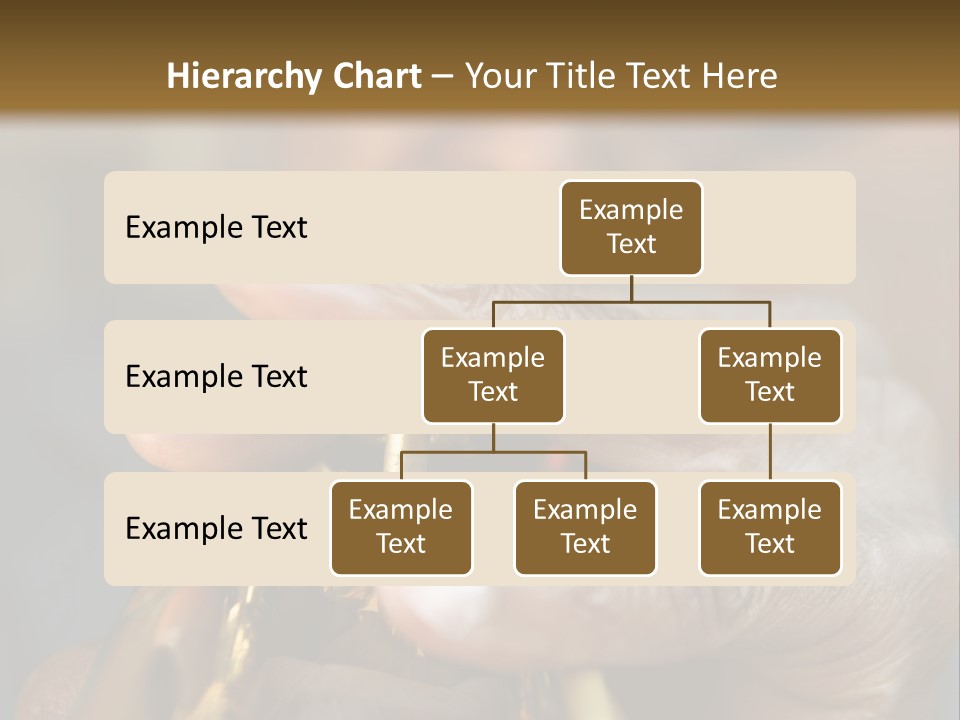 Fedora Louisiana Hurricane PowerPoint Template