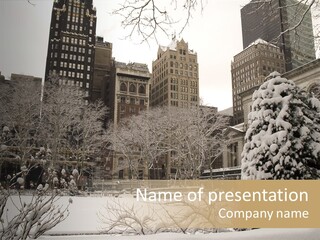 York Pine Buildings PowerPoint Template