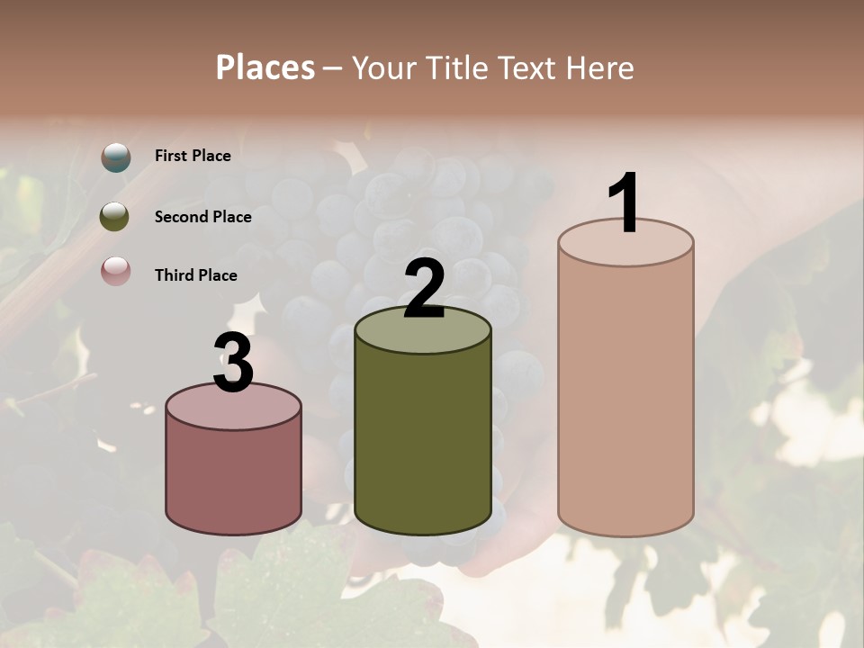 Blue Vintner Hanging PowerPoint Template