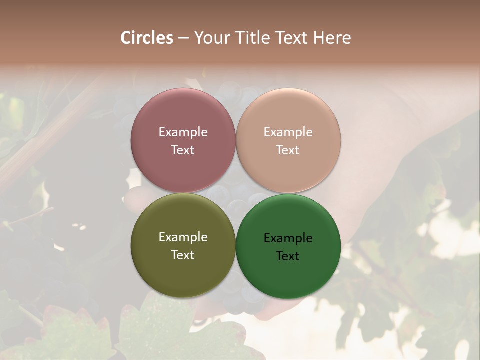 Blue Vintner Hanging PowerPoint Template