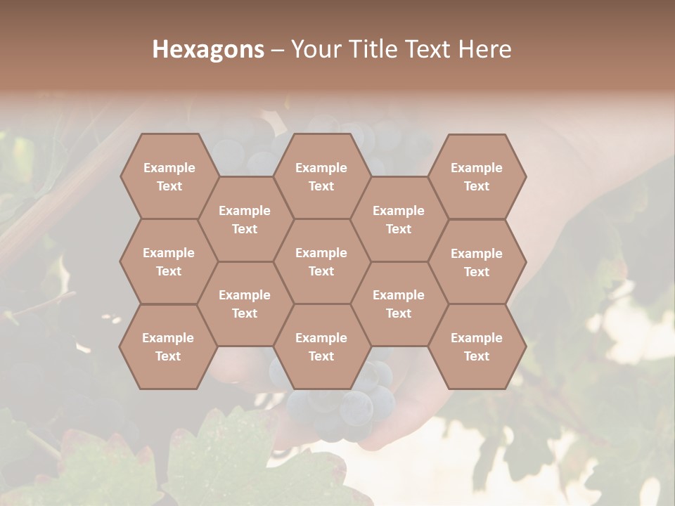 Blue Vintner Hanging PowerPoint Template