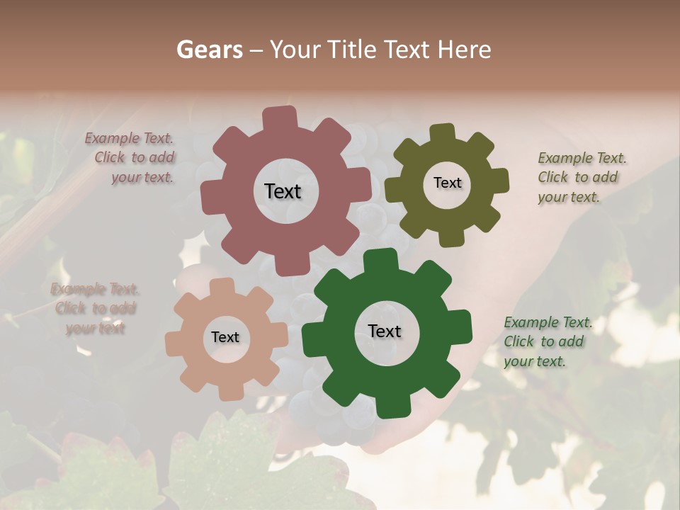 Blue Vintner Hanging PowerPoint Template