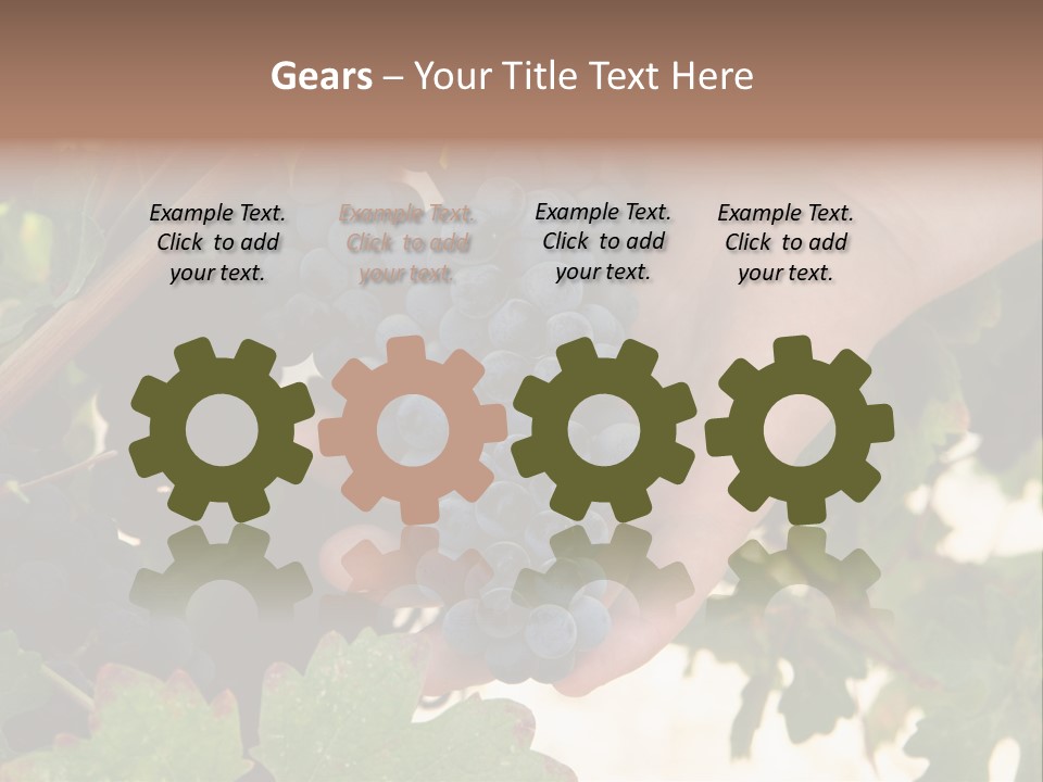 Blue Vintner Hanging PowerPoint Template