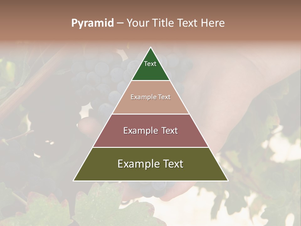 Blue Vintner Hanging PowerPoint Template