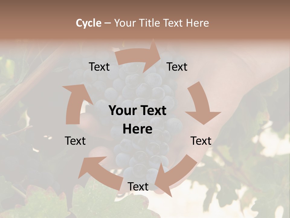 Blue Vintner Hanging PowerPoint Template