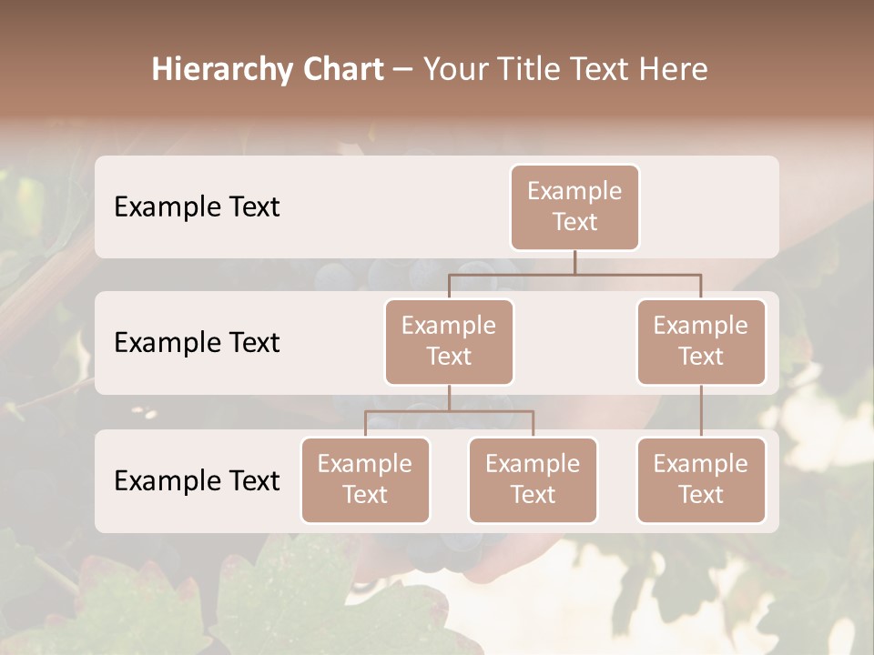 Blue Vintner Hanging PowerPoint Template