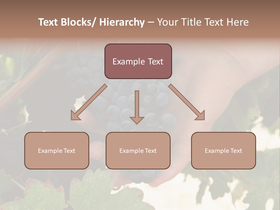 Blue Vintner Hanging PowerPoint Template