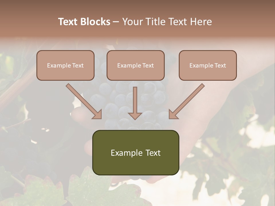 Blue Vintner Hanging PowerPoint Template