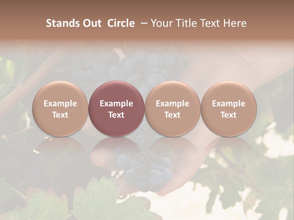 Blue Vintner Hanging PowerPoint Template