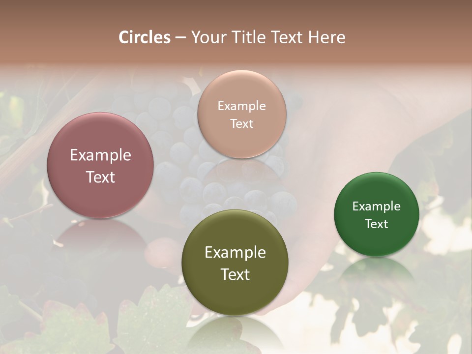 Blue Vintner Hanging PowerPoint Template