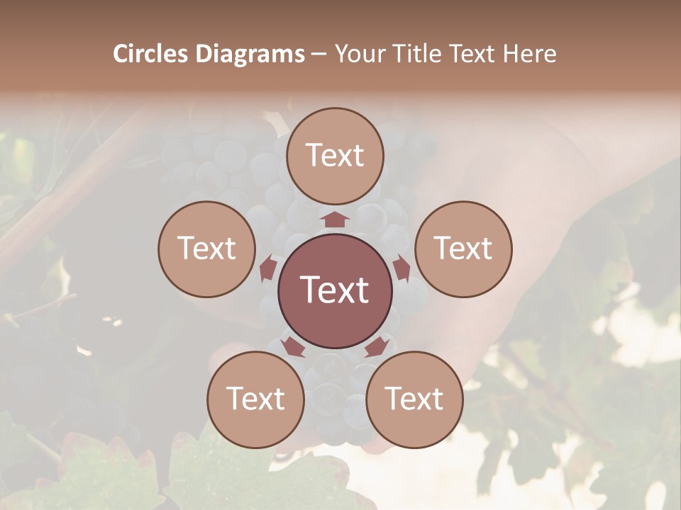 Blue Vintner Hanging PowerPoint Template