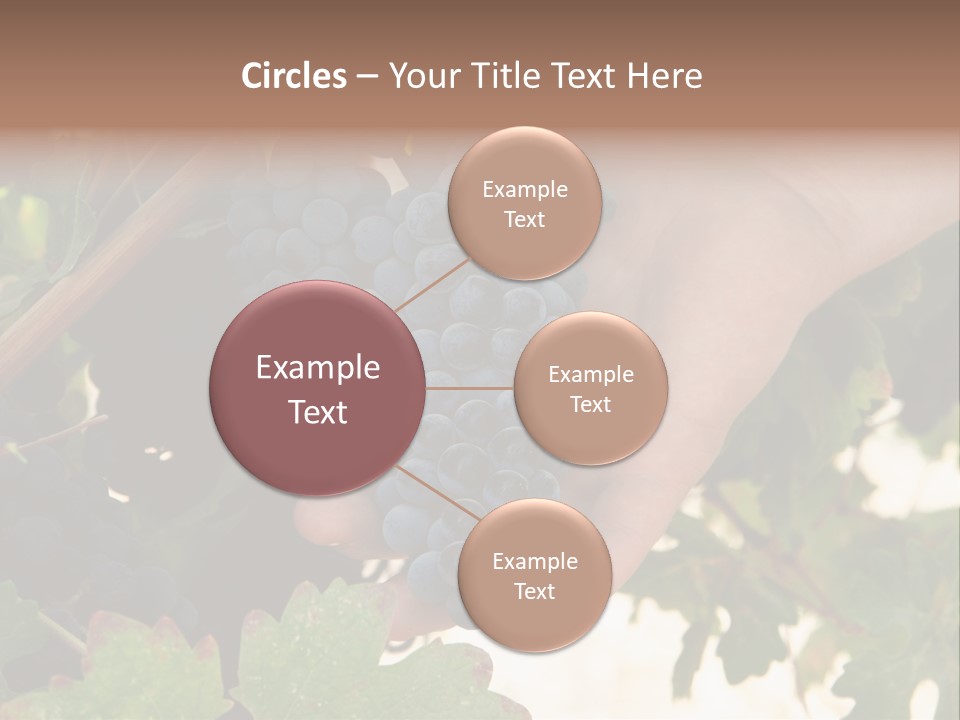 Blue Vintner Hanging PowerPoint Template