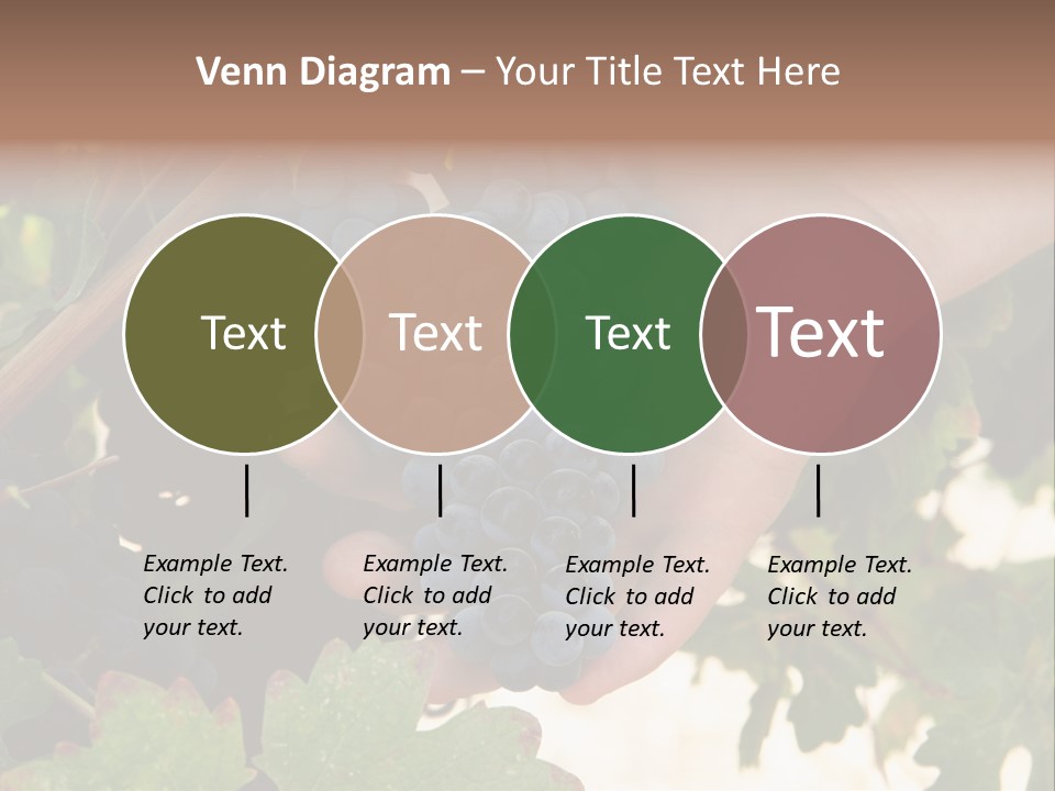 Blue Vintner Hanging PowerPoint Template