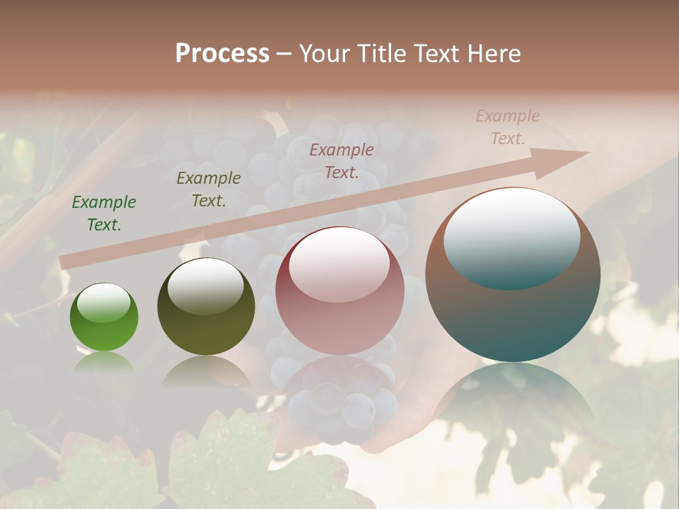 Blue Vintner Hanging PowerPoint Template