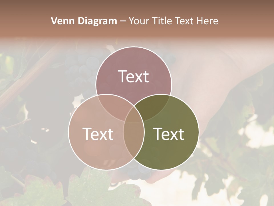 Blue Vintner Hanging PowerPoint Template