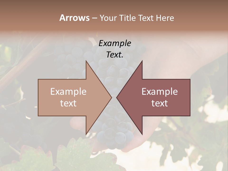 Blue Vintner Hanging PowerPoint Template