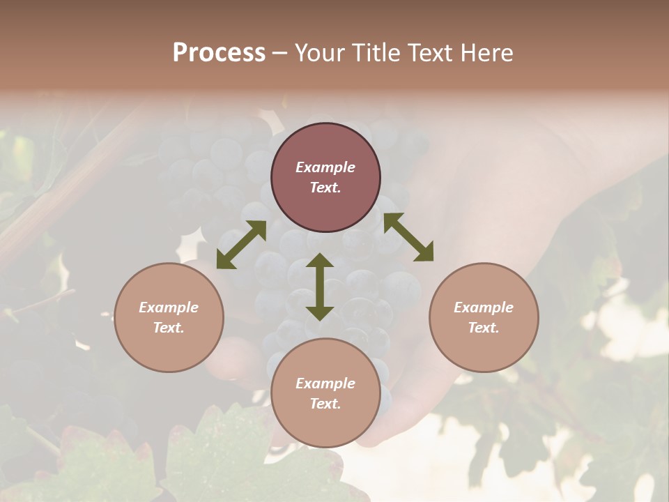 Blue Vintner Hanging PowerPoint Template
