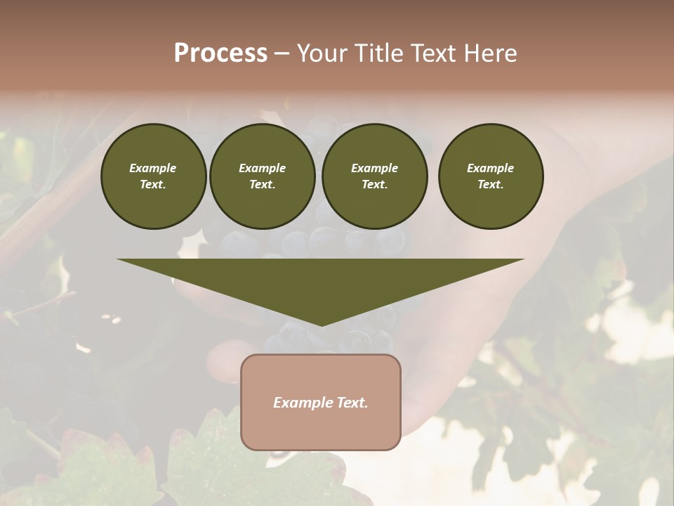 Blue Vintner Hanging PowerPoint Template