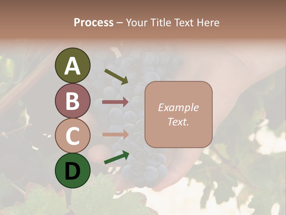 Blue Vintner Hanging PowerPoint Template