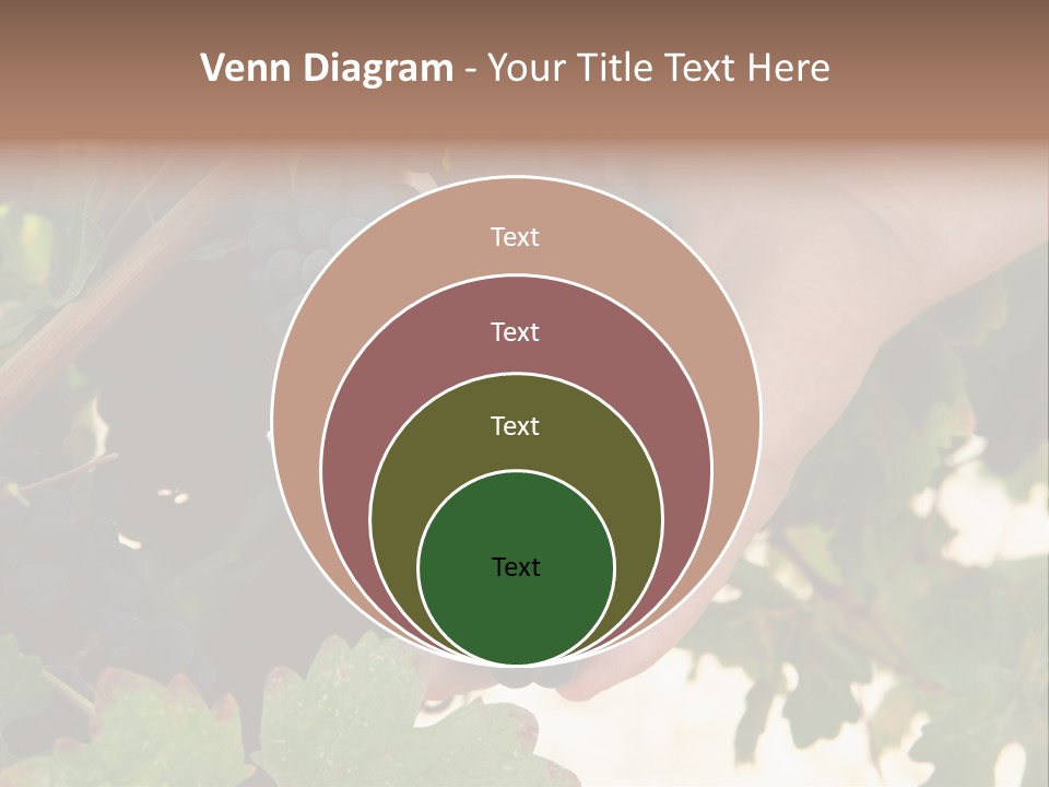 Blue Vintner Hanging PowerPoint Template