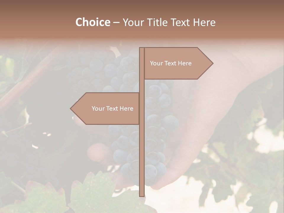 Blue Vintner Hanging PowerPoint Template