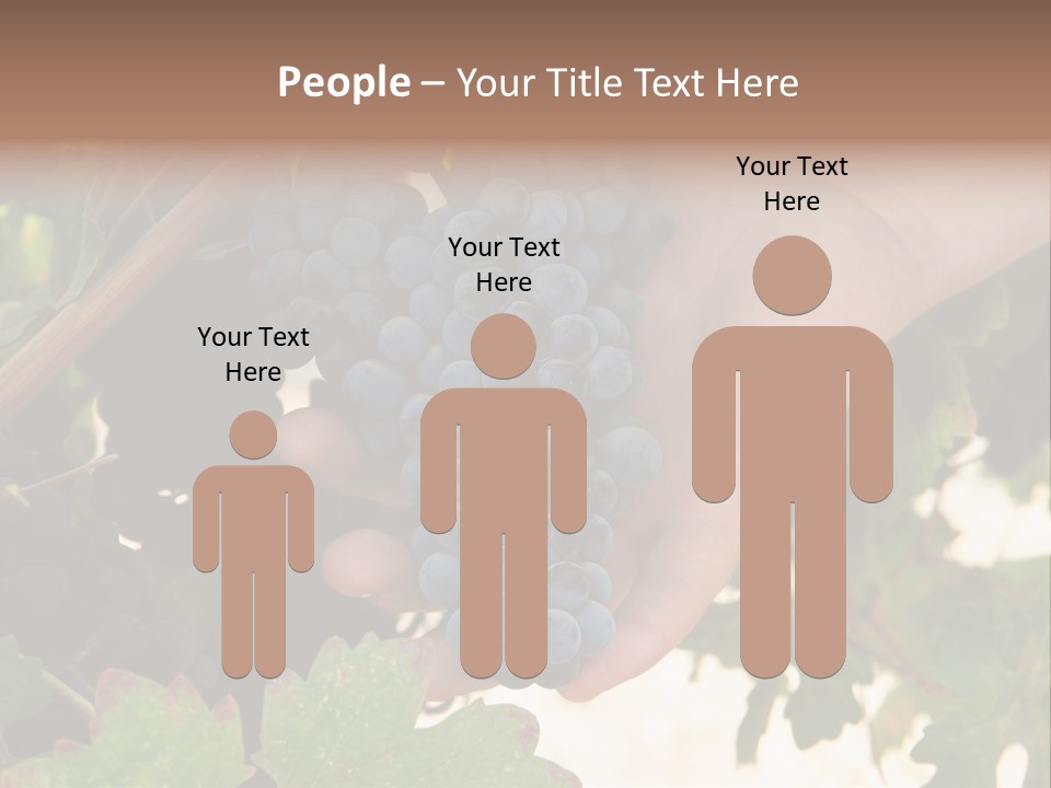 Blue Vintner Hanging PowerPoint Template