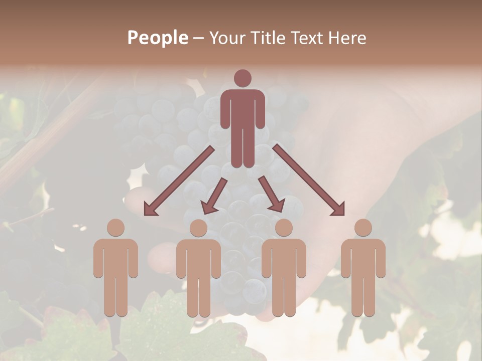 Blue Vintner Hanging PowerPoint Template