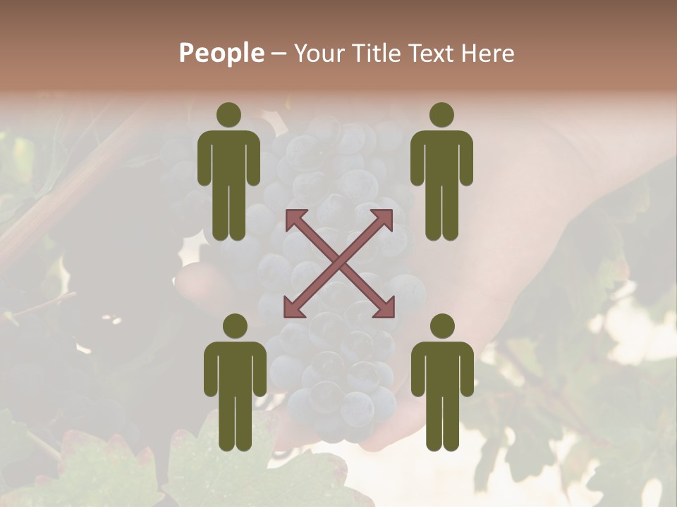 Blue Vintner Hanging PowerPoint Template