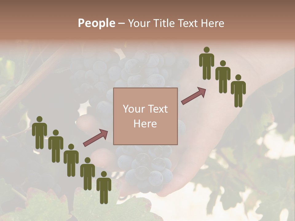 Blue Vintner Hanging PowerPoint Template