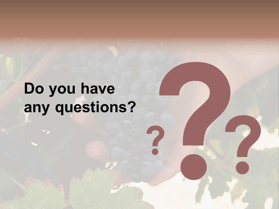 Blue Vintner Hanging PowerPoint Template