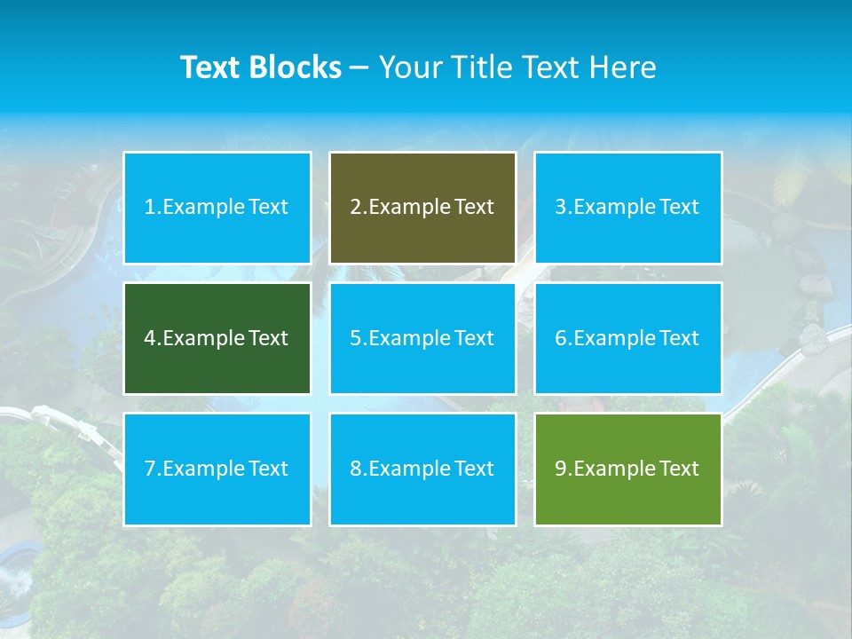 Coconut Top Palm PowerPoint Template