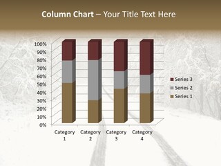 Nature Snowy Track PowerPoint Template