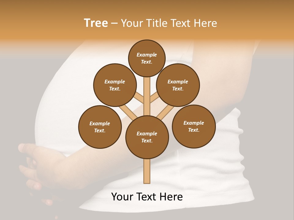 Birth Baby Pregnant PowerPoint Template