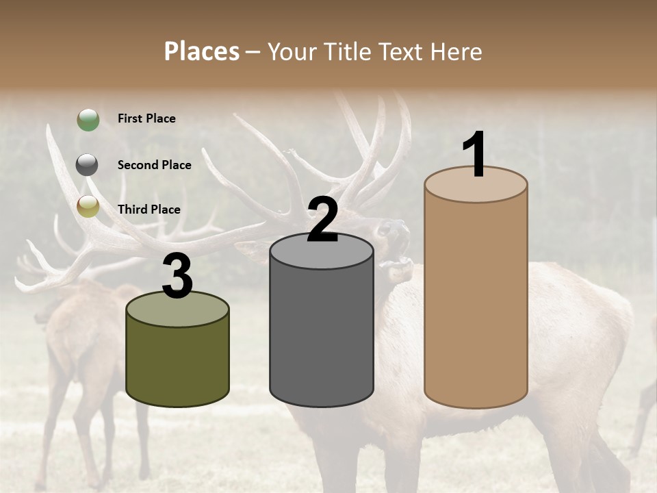 Caribou Elk Wapiti PowerPoint Template