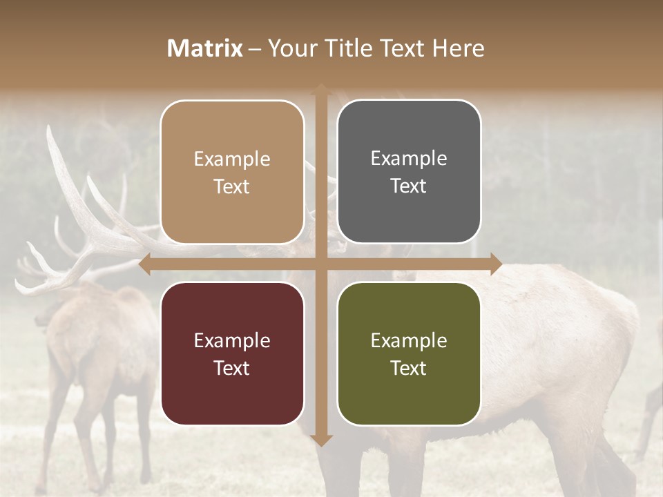 Caribou Elk Wapiti PowerPoint Template
